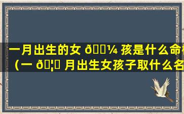 一月出生的女 🐼 孩是什么命格（一 🦈 月出生女孩子取什么名字）